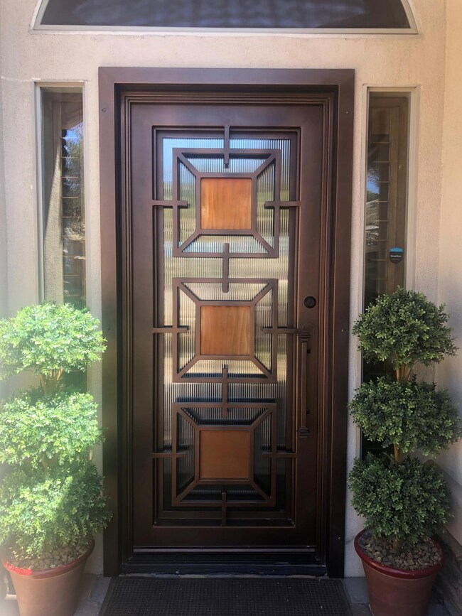 Gorgeous Steel Front Door