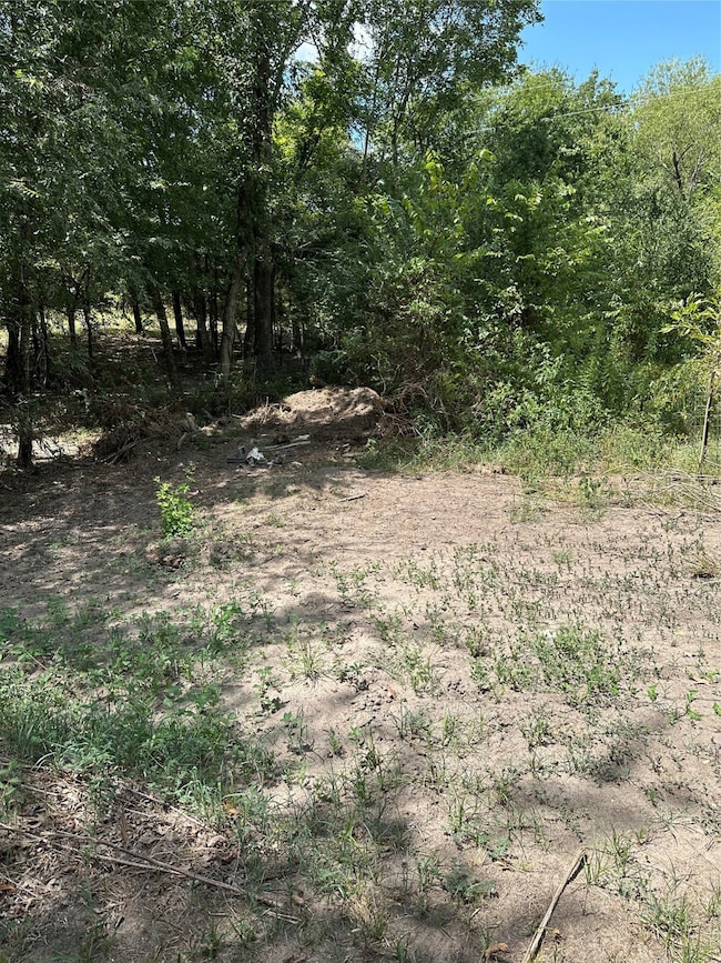 TBD Vz County Road 1806, Grand Saline, TX 75140 - photo 2