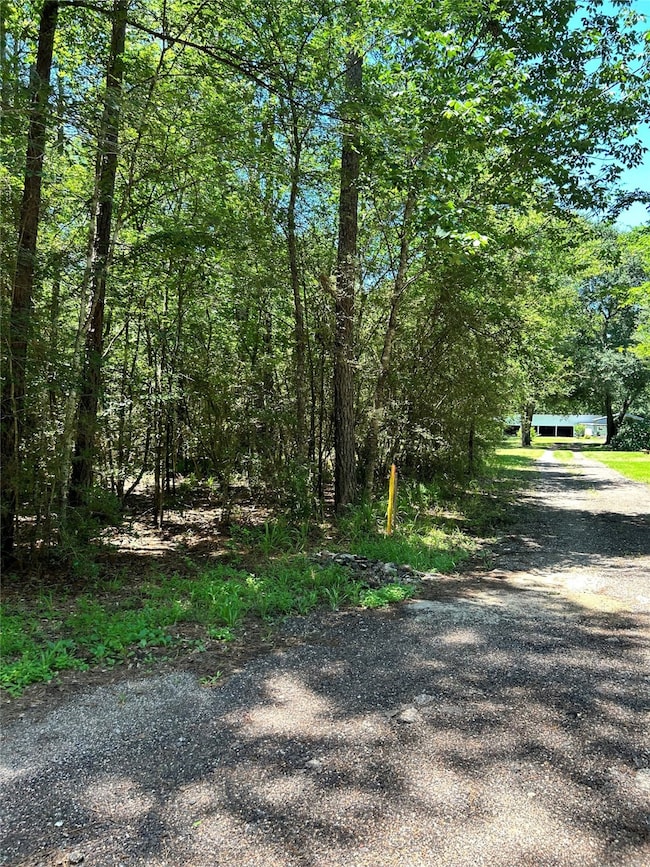 TBD Kelly Rd, Magnolia, TX 77354 - photo 5