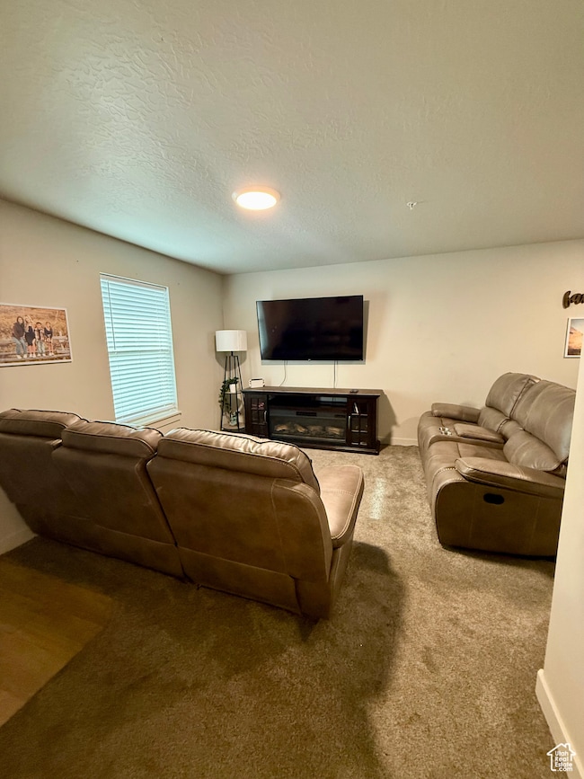 Living room featuring a textured ceiling and carpet