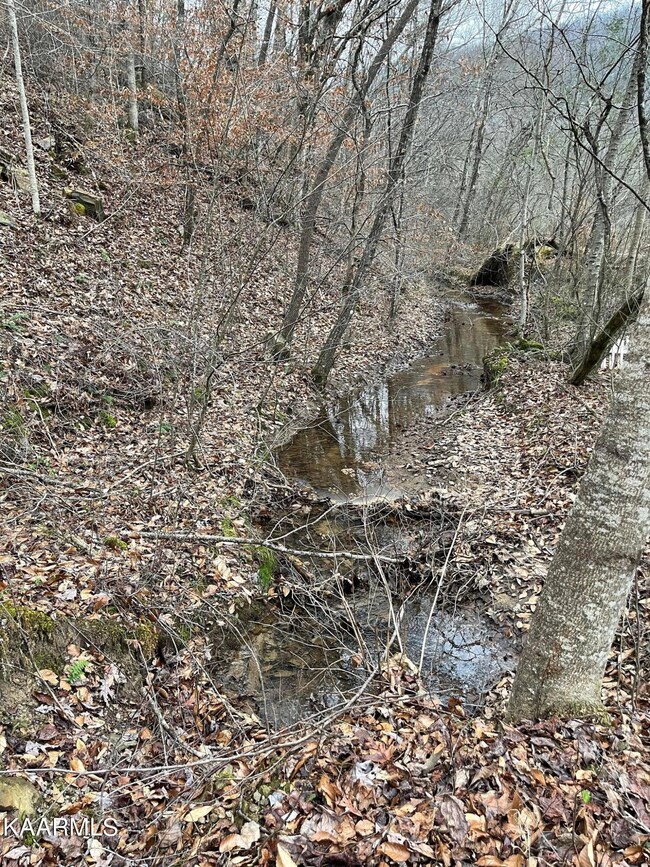 Creek