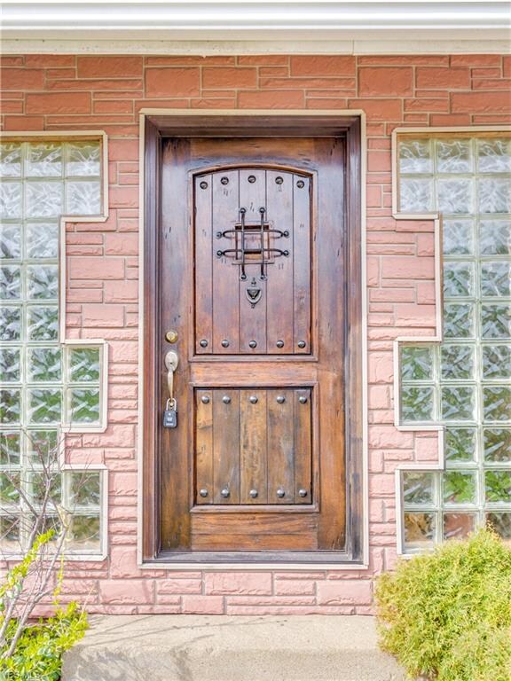 Unique wood front door