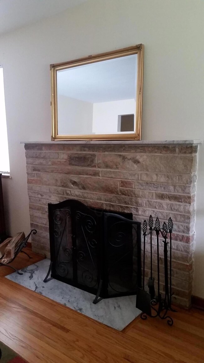 Wood burning Fireplace