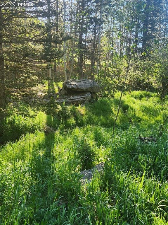 Rocks and meadow