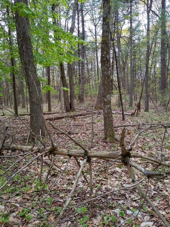 534 Ipswich Rd, Boxford, MA 01921 - photo 5