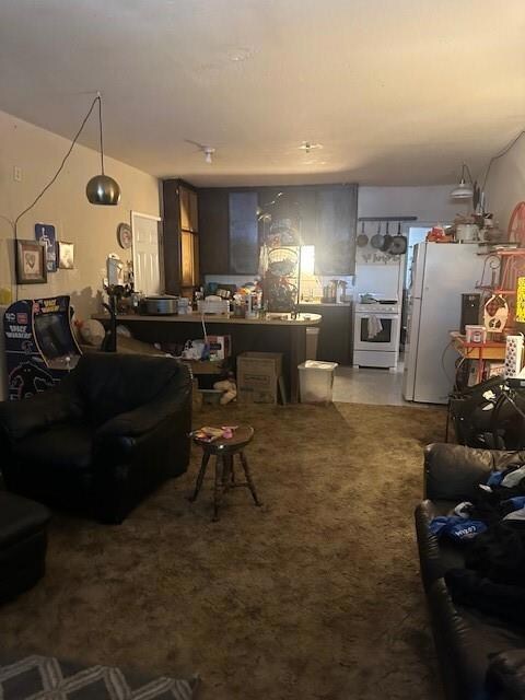 Living room with carpet