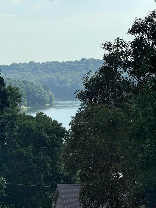 571 Cothrum Rd, Phil Campbell, AL 35581 - photo 3