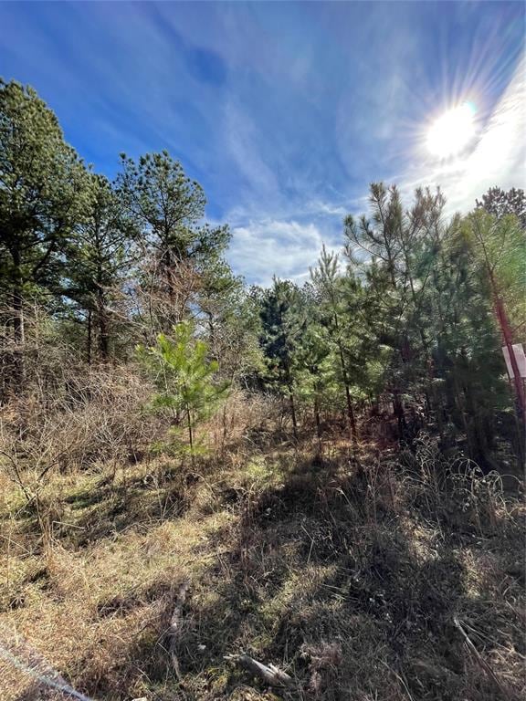 View of mother earth's splendor