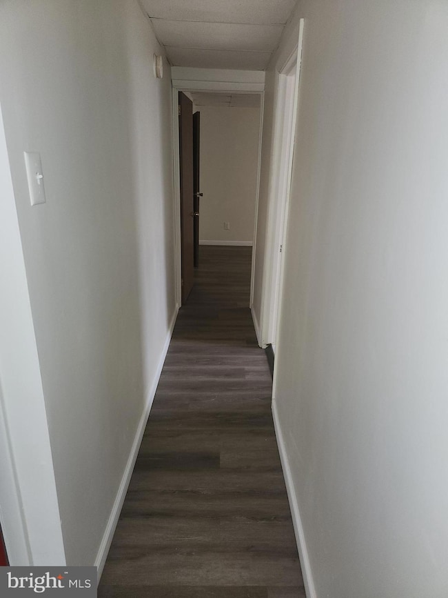 5025 Penn St unit 2F, Philadelphia, PA 19124 - photo 6