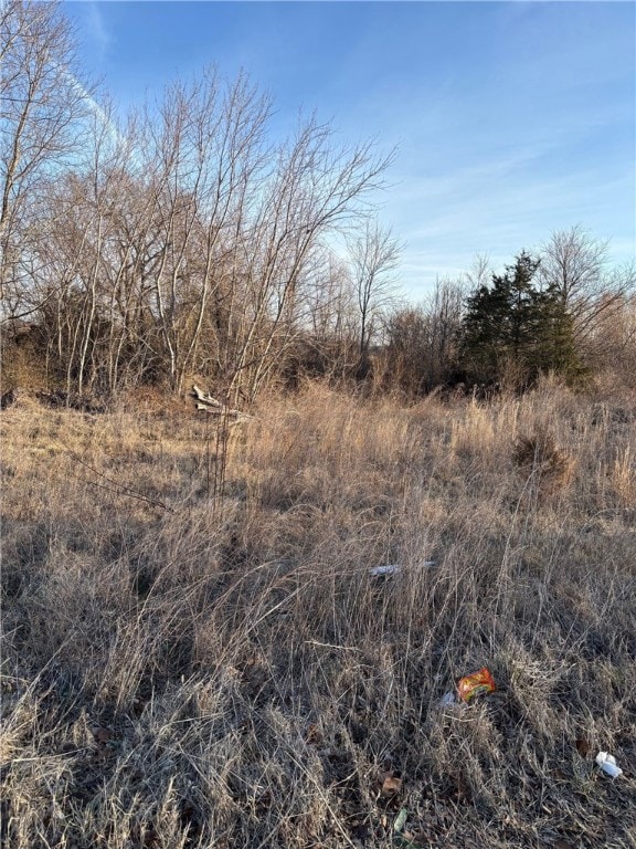 TBD Lot 7 Red Bud St, Green Forest, AR 72638 - photo 4