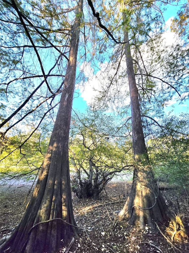 TBD County Road 2167, Cleveland, TX 77327 - photo 3