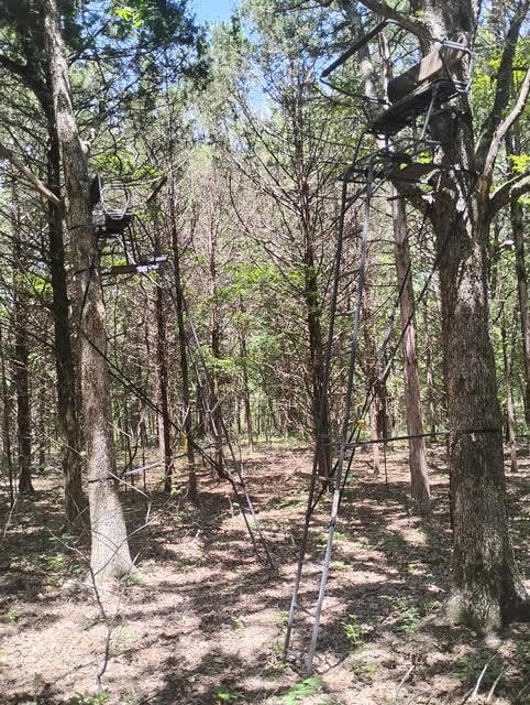 125 Way, Protem, MO 65733 - photo 4