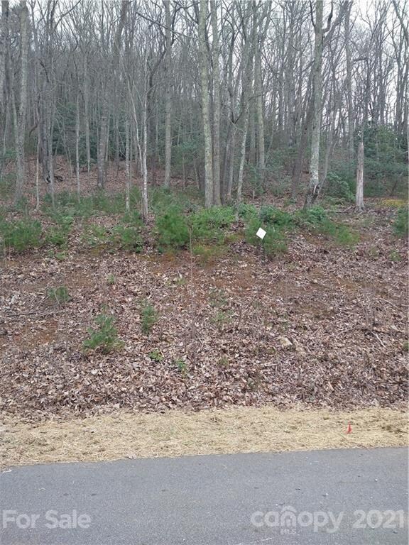 39 Tallwood Rd unit 4, Leicester, NC 28748 - photo 7