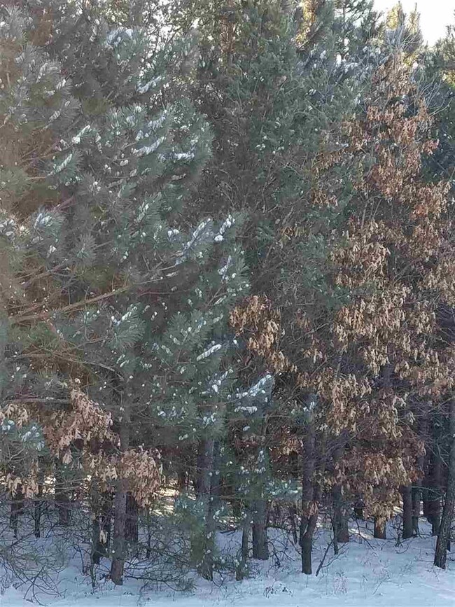 ON Cypress Ave unit Meteor 8314-5, Friendship, WI 53934 - photo 2