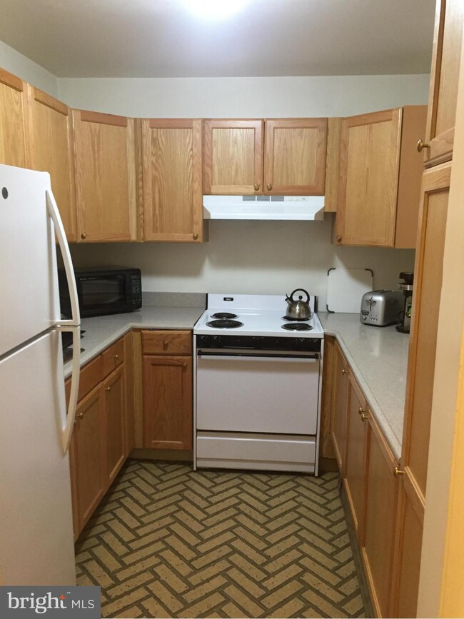 7 S Madison St unit 1, Middleburg, VA 20117 - photo 4