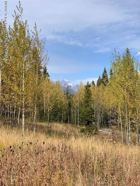 Tetons