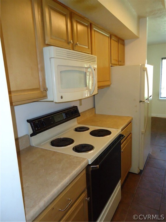 1505 Largo Rd unit 301, Henrico, VA 23238 - photo 5