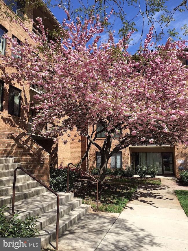 11419 Commonwealth Dr unit 104, Rockville, MD 20852 - photo 3