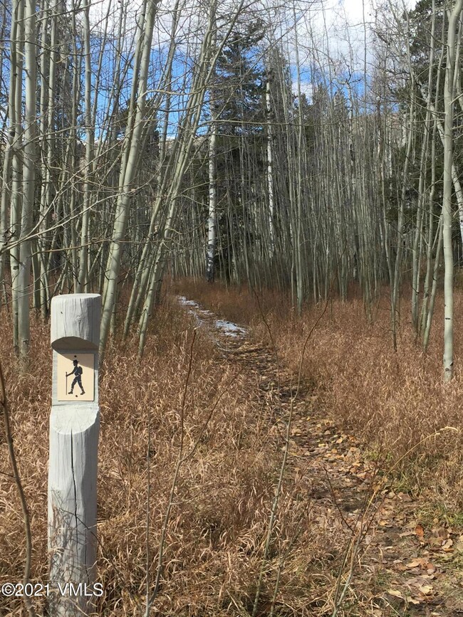 mountain star hiking