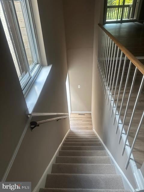 903 Raintree Ln, Malvern, PA 19355 - photo 7