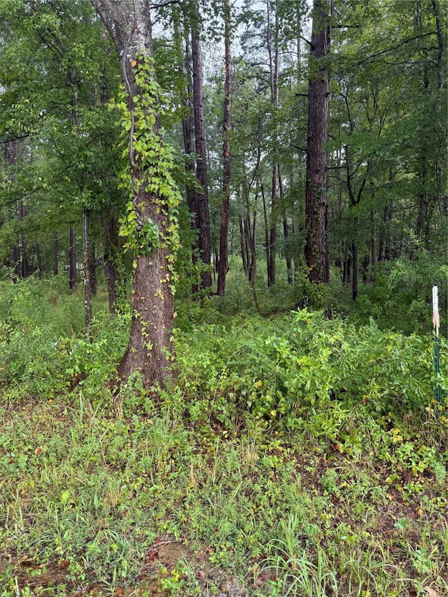 833 County Road 3639, Big Sandy, TX 75755 - photo 3