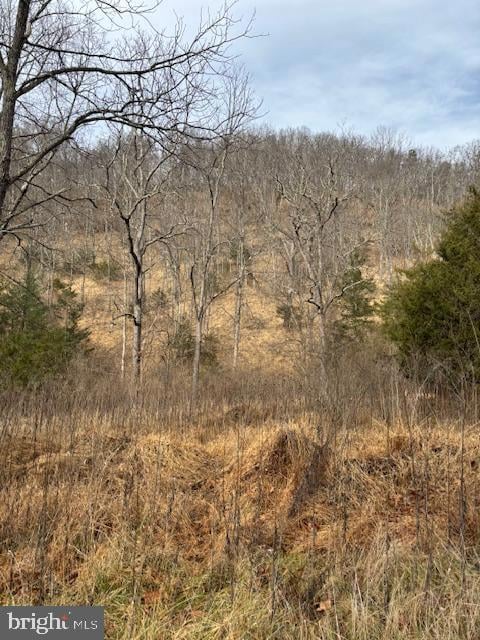 Lot 14 Wildlife Dr, Lost City, WV 26810 - photo 3