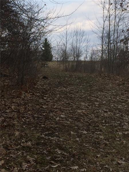 Clearing behind property is an old twp road