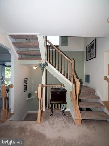 20381 Briarcliff Terrace, Sterling, VA 20165 - photo 3