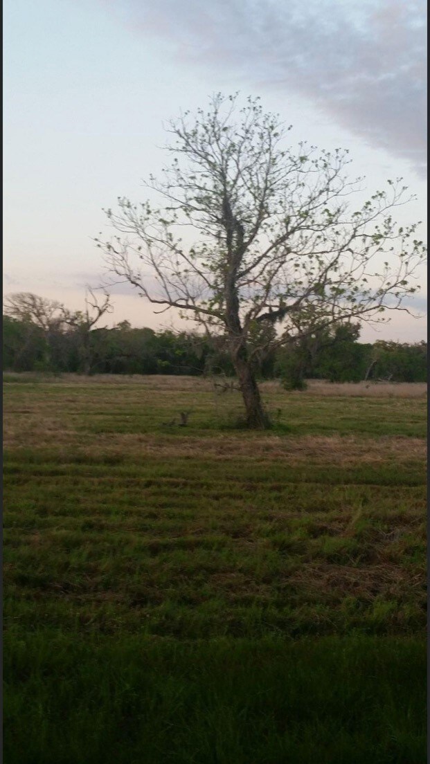 1216 County Road 819a, Brazoria, TX 77422 - photo 2