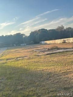 0 Lower Wetumpka Rd unit 581828, Montgomery, AL 36110 - photo 2