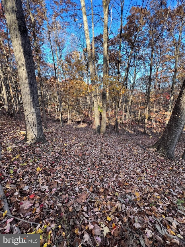 0 Timberline Ridge Rd unit VAWR2012716, Front Royal, VA 22630 - photo 6