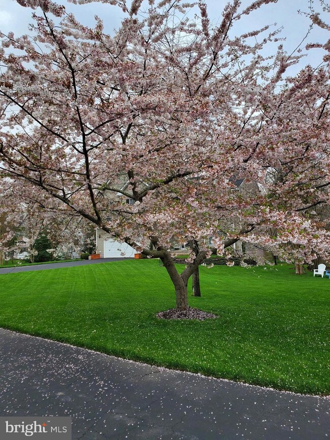 23242 Willow Creek Way, California, MD 20619 - photo 5