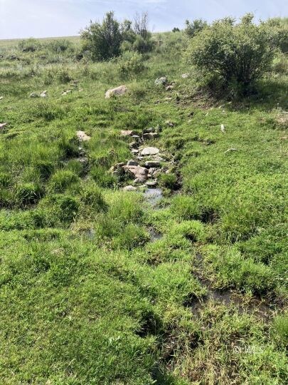 565 / 365 Marcy Ave, Westcliffe, CO 81252 - photo 4