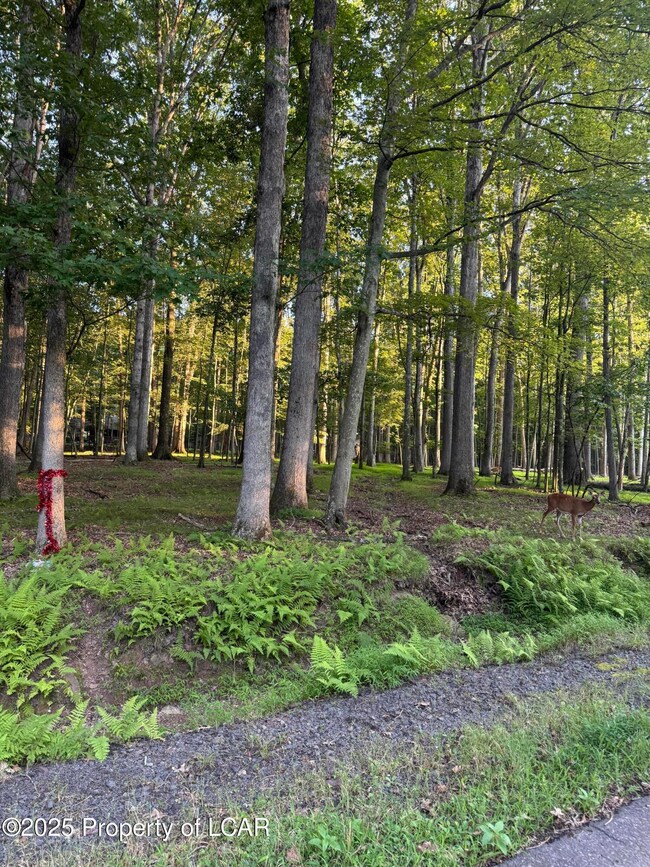 E-114 Conyngham Dr, Hazle Township, PA 18202 - photo 5