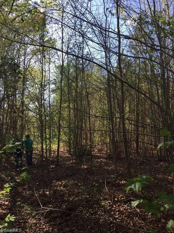 1 Picketts Mill Rd, Seagrove, NC 27341 - photo 2