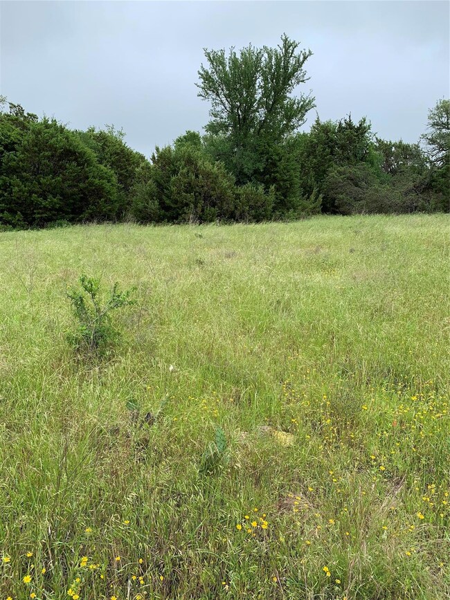 3041 Deer Ct, Weatherford, TX 76085 - photo 3