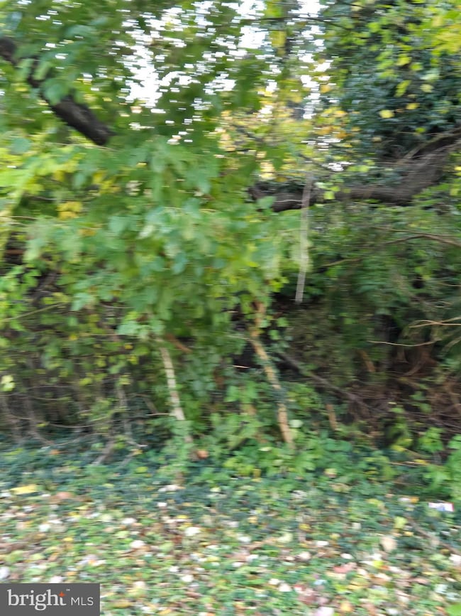 8824 Old Laurel Bowie Rd, Bowie, MD 20720 - photo 3