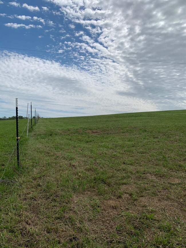 1618 Cummins Ferry Rd, Bondville, KY 40372 - photo 3