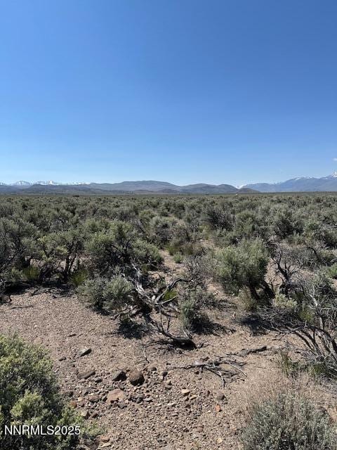 001 E Side Ln, Gardnerville, NV 89410 - photo 3