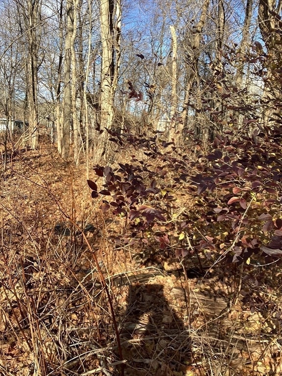 0 Prospect St, Brockton, MA 02301 - photo 7