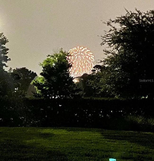 10131 Audubon Trace Aly, Winter Garden, FL 34787 - photo 4