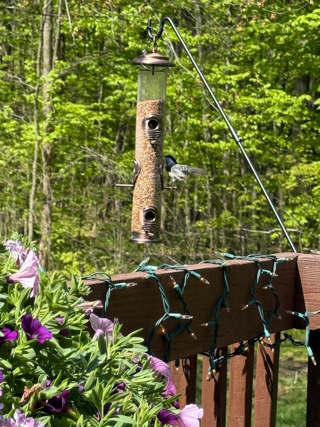 2885 Hidden View Dr SE, Caledonia, MI 49316 - photo 6