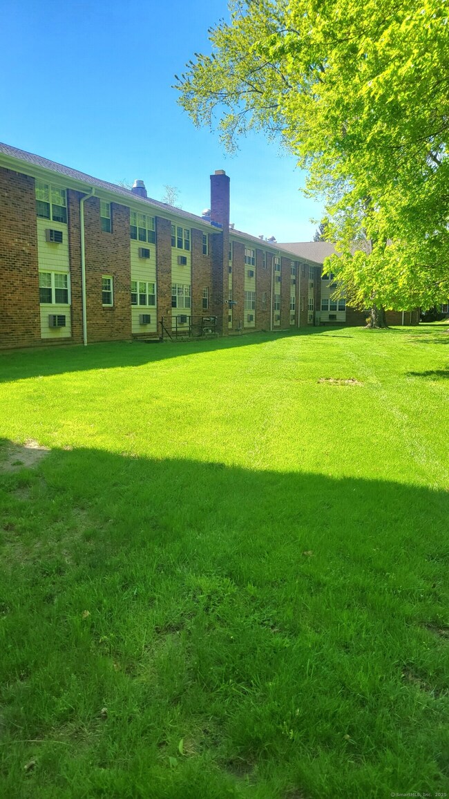 Back of Complex