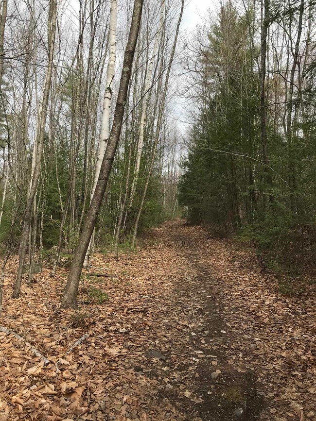 0 Forest Lake Rd unit 4897805, Winchester, NH 03470 - photo 5