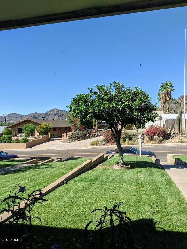 1031 E Butler Dr unit A, Phoenix, AZ 85020 - photo 3