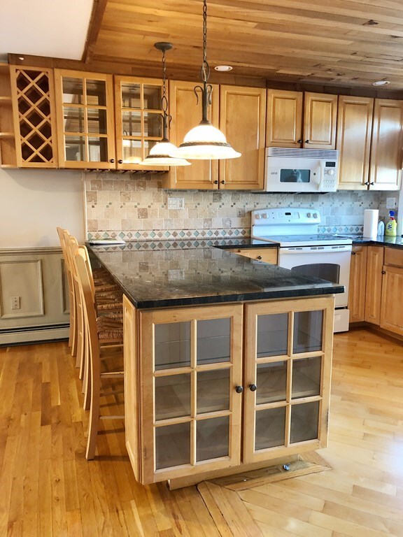 56 O St unit 2, Boston, MA 02127 - photo 4