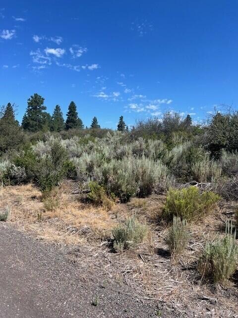 0 Wrightwood unit Lot 17 220206720, Chiloquin, OR 97624 - photo 2