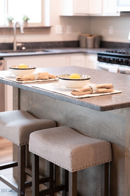 2000 Klaus Ave unit B, Belgrade, MT 59714 - photo 6