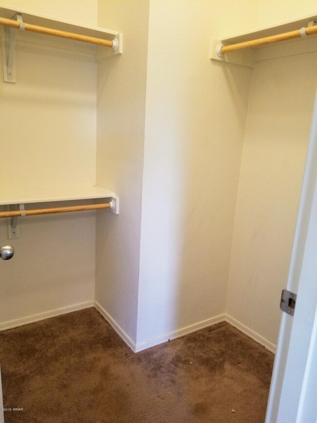 Master Walk in Closet