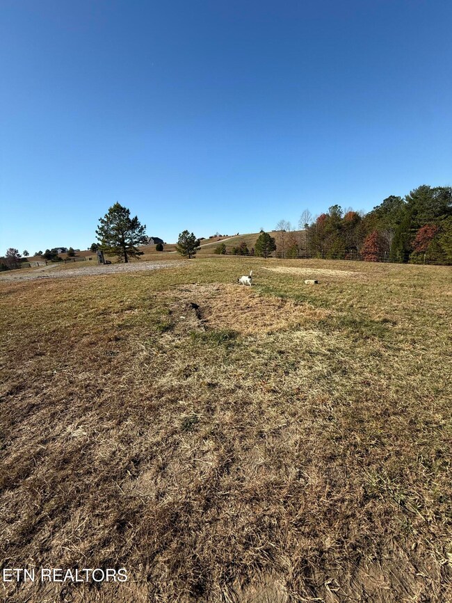 641 Vista View Pkwy, Jamestown, TN 38556 - photo 6
